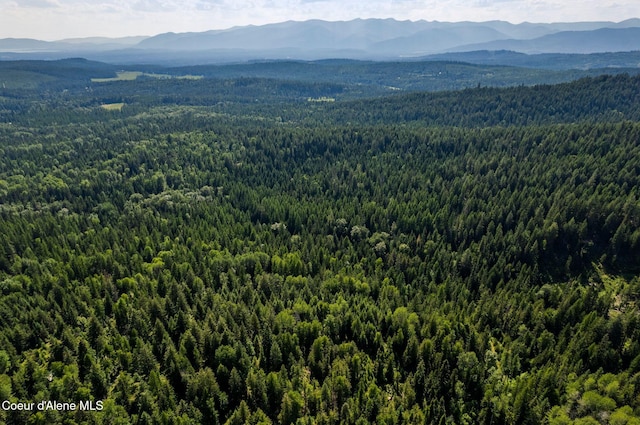 NKA Raven Ridge, Sandpoint, ID 83864 - photo 5