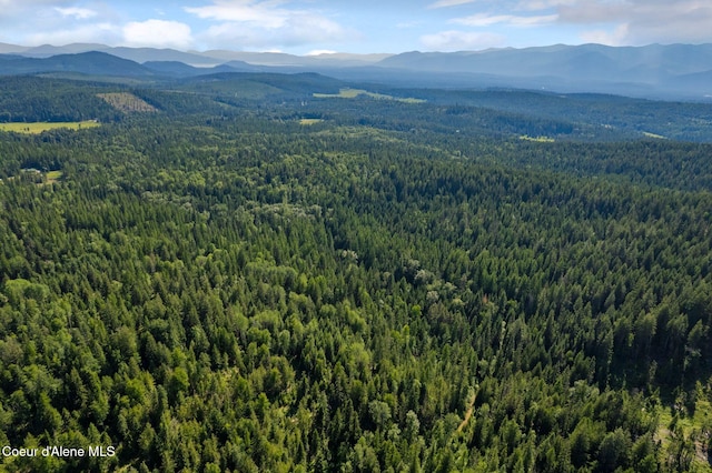 NKA Raven Ridge, Sandpoint, ID 83864 - photo 6