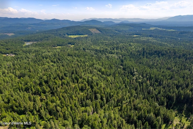 NKA Raven Ridge, Sandpoint, ID 83864 - photo 7