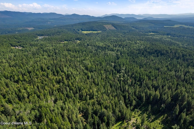 NKA Raven Ridge, Sandpoint, ID 83864 - photo 8