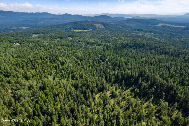 NKA Raven Ridge, Sandpoint, ID 83864 - photo 9