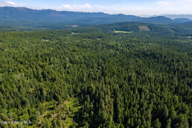 NKA Raven Ridge, Sandpoint, ID 83864 - photo 10