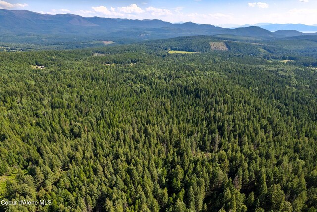 NKA Raven Ridge, Sandpoint, ID 83864 - photo 11