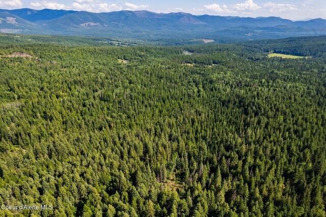 NKA Raven Ridge, Sandpoint, ID 83864 - photo 12