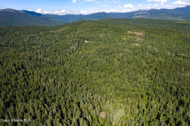 NKA Raven Ridge, Sandpoint, ID 83864 - photo 14