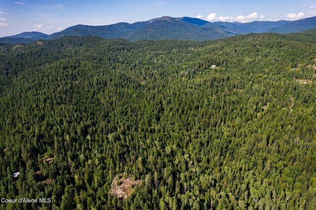 NKA Raven Ridge, Sandpoint, ID 83864 - photo 15