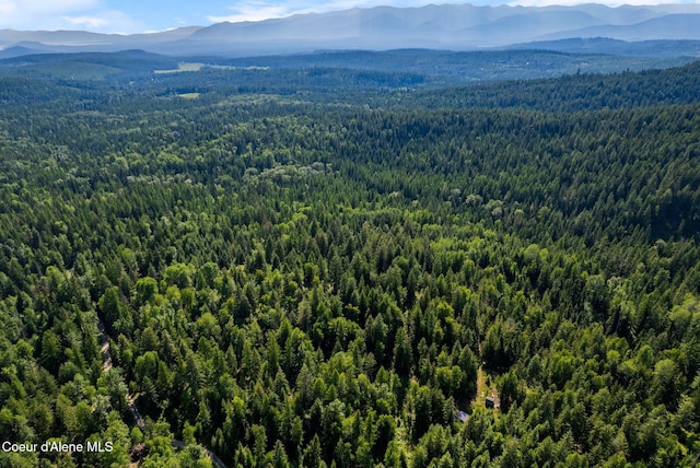 NKA Raven Ridge, Sandpoint, ID 83864 - photo 18