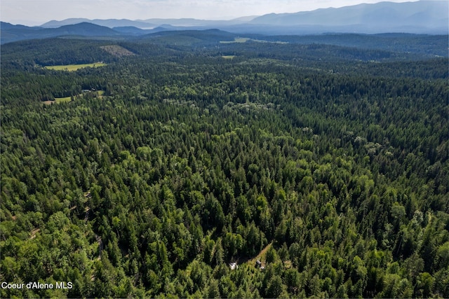 NKA Raven Ridge, Sandpoint, ID 83864 - photo 19
