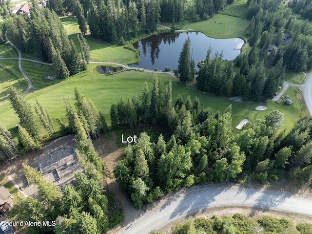 748 Fairway Dr, Priest Lake, ID 83856