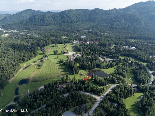 748 Fairway Dr, Priest Lake, ID 83856