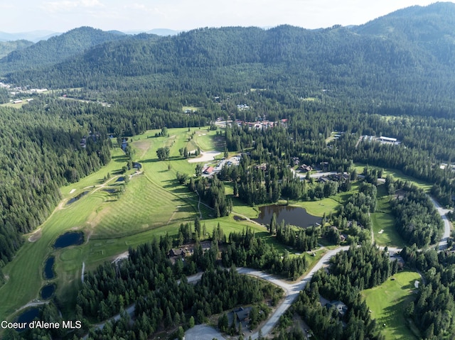 748 Fairway Dr, Priest Lake, ID 83856