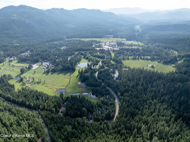 748 Fairway Dr, Priest Lake, ID 83856