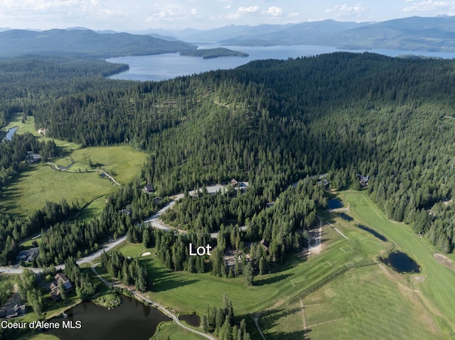 748 Fairway Dr, Priest Lake, ID 83856