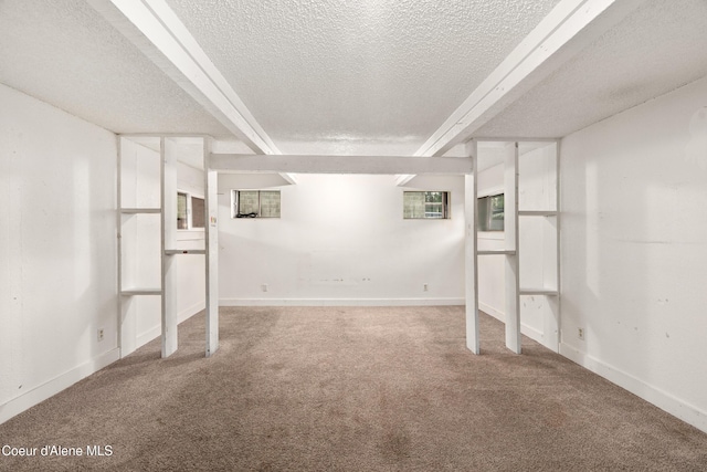 110 Cedar St, Priest River, ID 83856 - finished below grade area featuring a textured ceiling and carpet