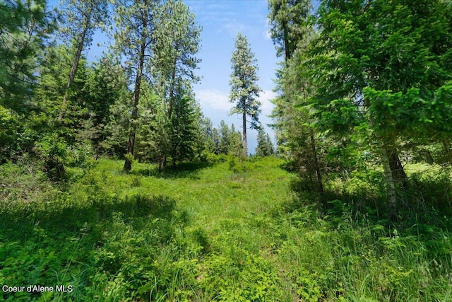 L18B1 E Shiras Rd, Coeur Dalene, ID 83814 - photo 9