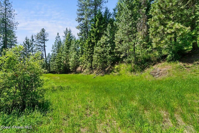 L18B1 E Shiras Rd, Coeur Dalene, ID 83814 - photo 13