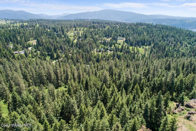 L18B1 E Shiras Rd, Coeur Dalene, ID 83814 - photo 18