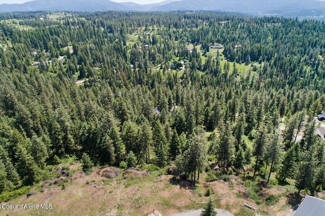 L18B1 E Shiras Rd, Coeur Dalene, ID 83814 - photo 19