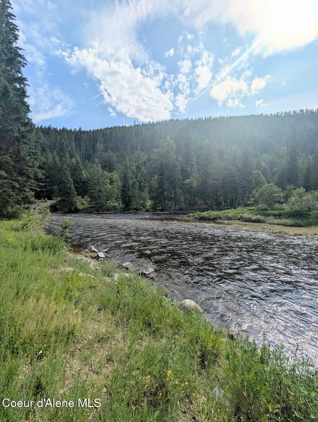 196 Border Ln, Bonners Ferry, ID 83805 - photo 6