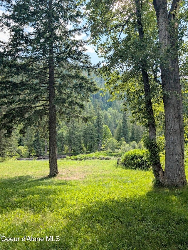196 Border Ln, Bonners Ferry, ID 83805 - photo 30