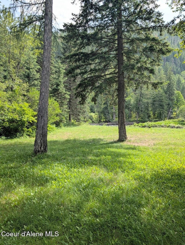 196 Border Ln, Bonners Ferry, ID 83805 - photo 31