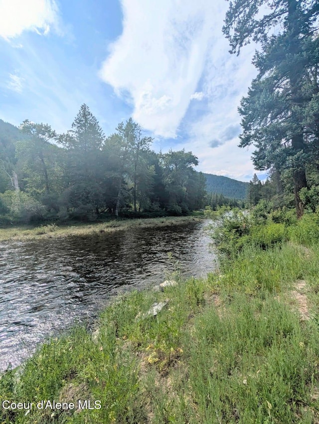 196 Border Ln, Bonners Ferry, ID 83805 - photo 2