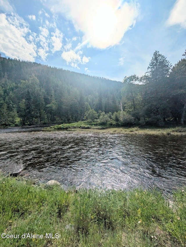 196 Border Ln, Bonners Ferry, ID 83805 - photo 32