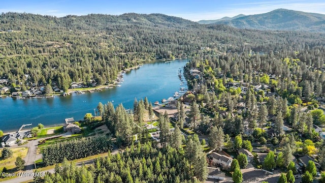 5735 E Steamboat Bnd, Post Falls, ID 83854 - aerial view of property's location with a heavily wooded area and a water and mountain view