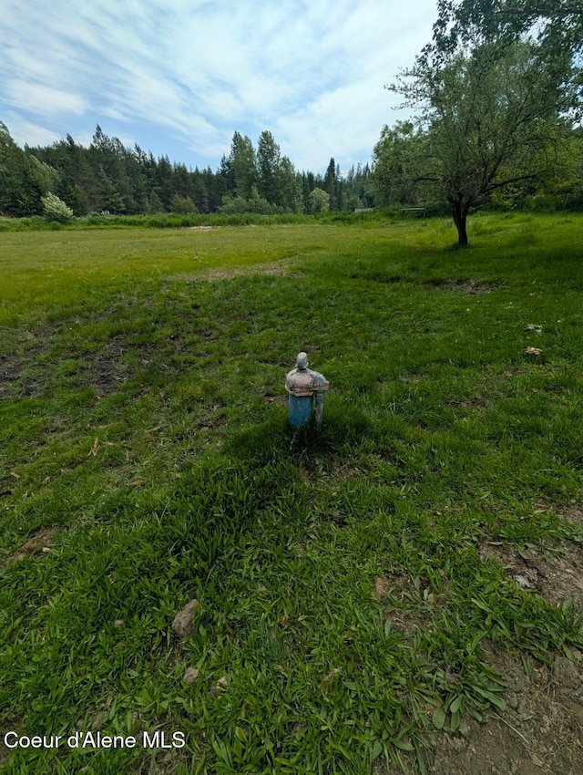237 Cottonwood, Bonners Ferry, ID 83805 - photo 19