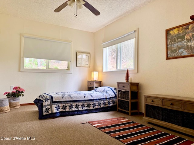 237 Cottonwood, Bonners Ferry, ID 83805 - photo 14