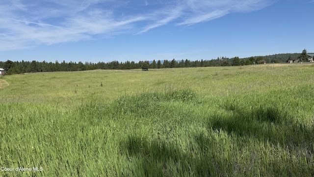 600 Rock Springs Rd, Athol, ID 83801 - photo 5