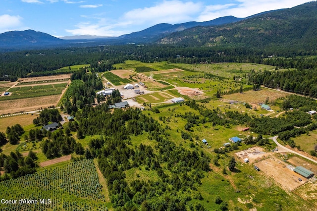632 Cascade Ln, Naples, ID 83847
