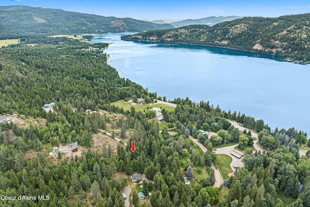 LOT10 Birch Beauty Rd, Priest River, ID 83856