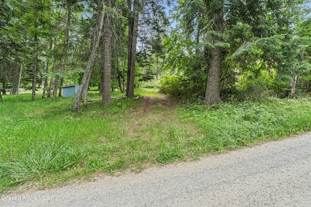 LOT10 Birch Beauty Rd, Priest River, ID 83856