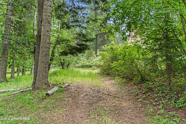 LOT10 Birch Beauty Rd, Priest River, ID 83856