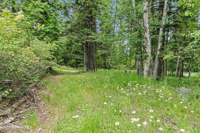 LOT10 Birch Beauty Rd, Priest River, ID 83856