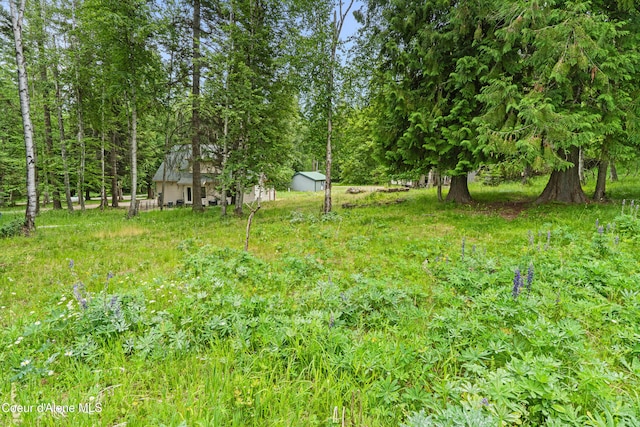 LOT10 Birch Beauty Rd, Priest River, ID 83856
