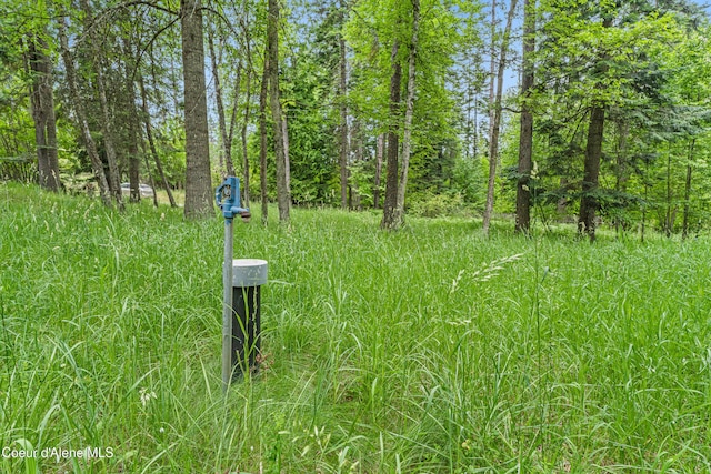 LOT10 Birch Beauty Rd, Priest River, ID 83856