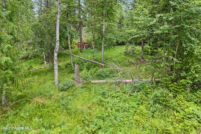 LOT10 Birch Beauty Rd, Priest River, ID 83856