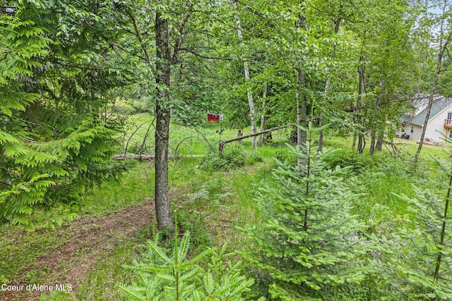 LOT10 Birch Beauty Rd, Priest River, ID 83856