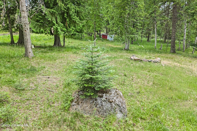 LOT10 Birch Beauty Rd, Priest River, ID 83856