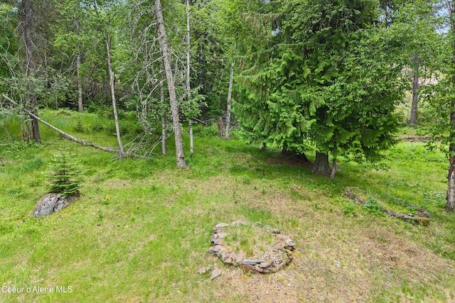 LOT10 Birch Beauty Rd, Priest River, ID 83856