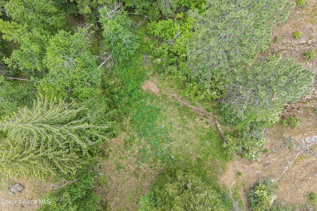 LOT10 Birch Beauty Rd, Priest River, ID 83856
