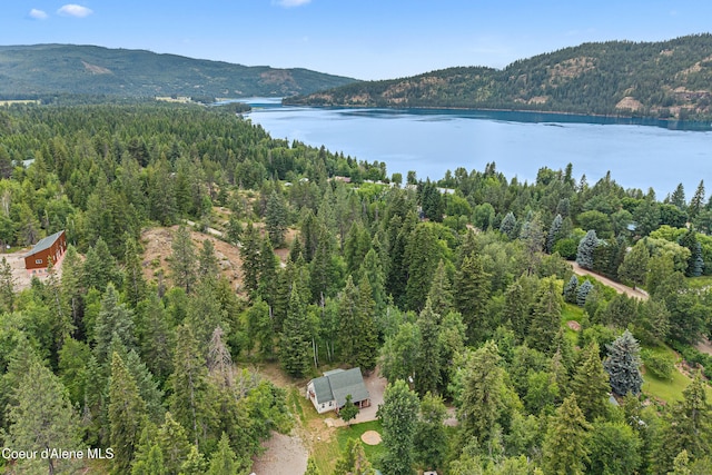 LOT10 Birch Beauty Rd, Priest River, ID 83856
