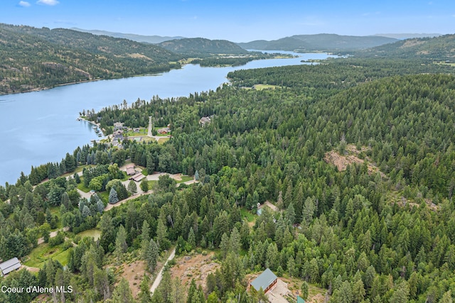 LOT10 Birch Beauty Rd, Priest River, ID 83856