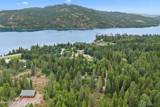 LOT10 Birch Beauty Rd, Priest River, ID 83856