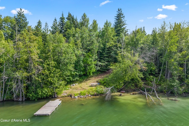 LOT10 Birch Beauty Rd, Priest River, ID 83856