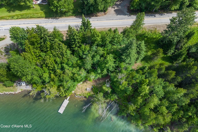 LOT10 Birch Beauty Rd, Priest River, ID 83856