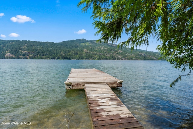 LOT10 Birch Beauty Rd, Priest River, ID 83856