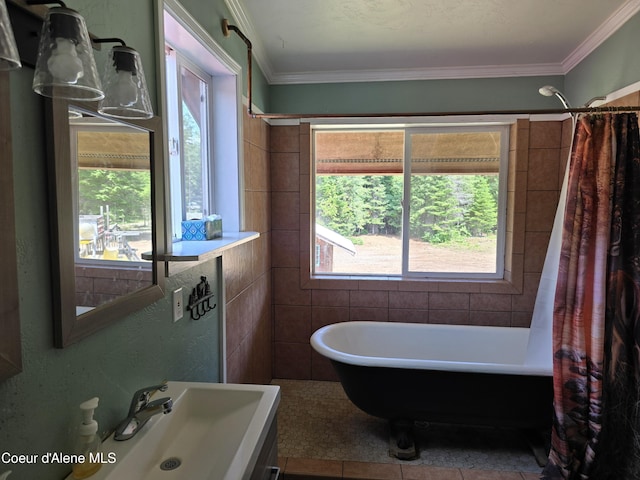 475 Old Range Rd, Clark Fork, ID 83811 - full bathroom featuring a freestanding bath, healthy amount of natural light, crown molding, and tile patterned flooring